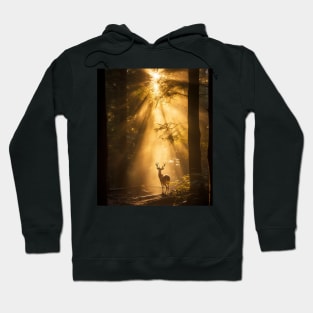 Sunrise Sovereign Hoodie